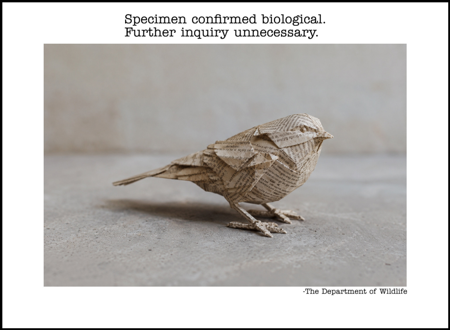 A sparrow folded and layered from printed book pages, standing on bare concrete, head lowered. The text on the page is the sparrow's plumage.